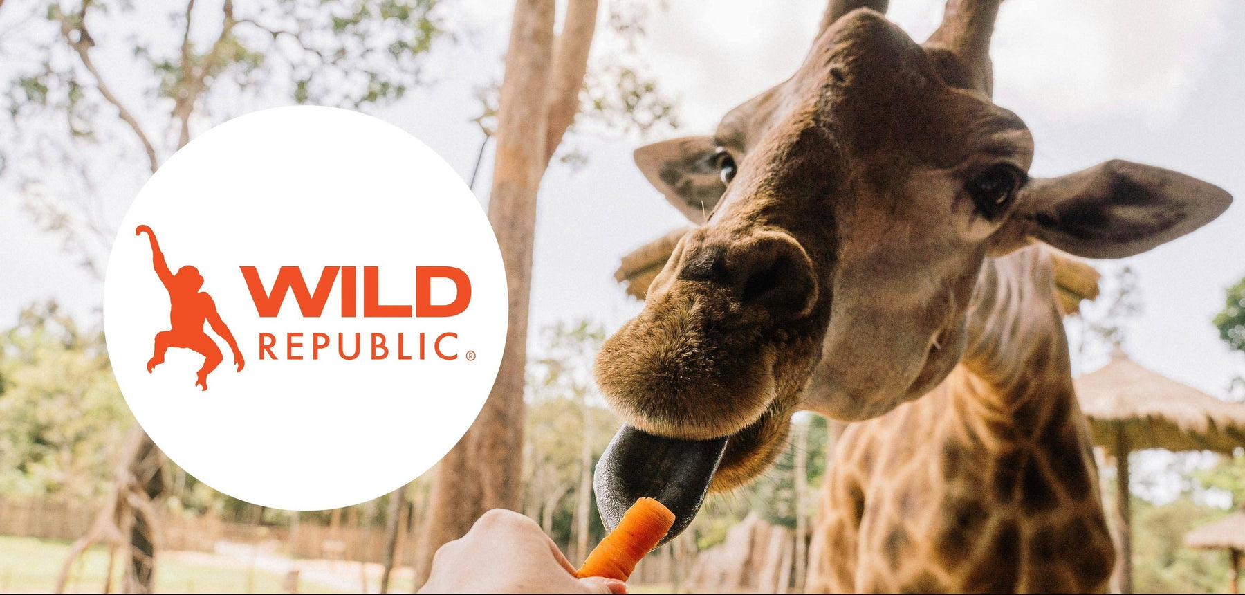 Introducing Wild Republic Tech: POS and Guest Management Solutions.