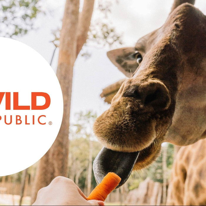 Introducing Wild Republic Tech: POS and Guest Management Solutions.