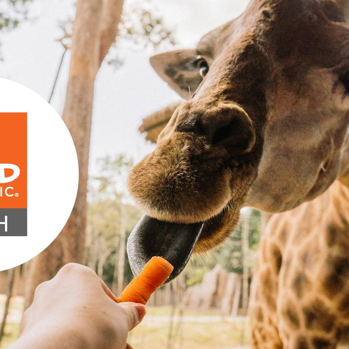 Introducing Wild Republic Tech: POS and Guest Management Solutions.